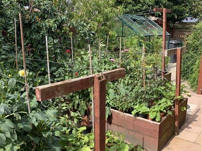 Greenhouse and Vegetable Gardens